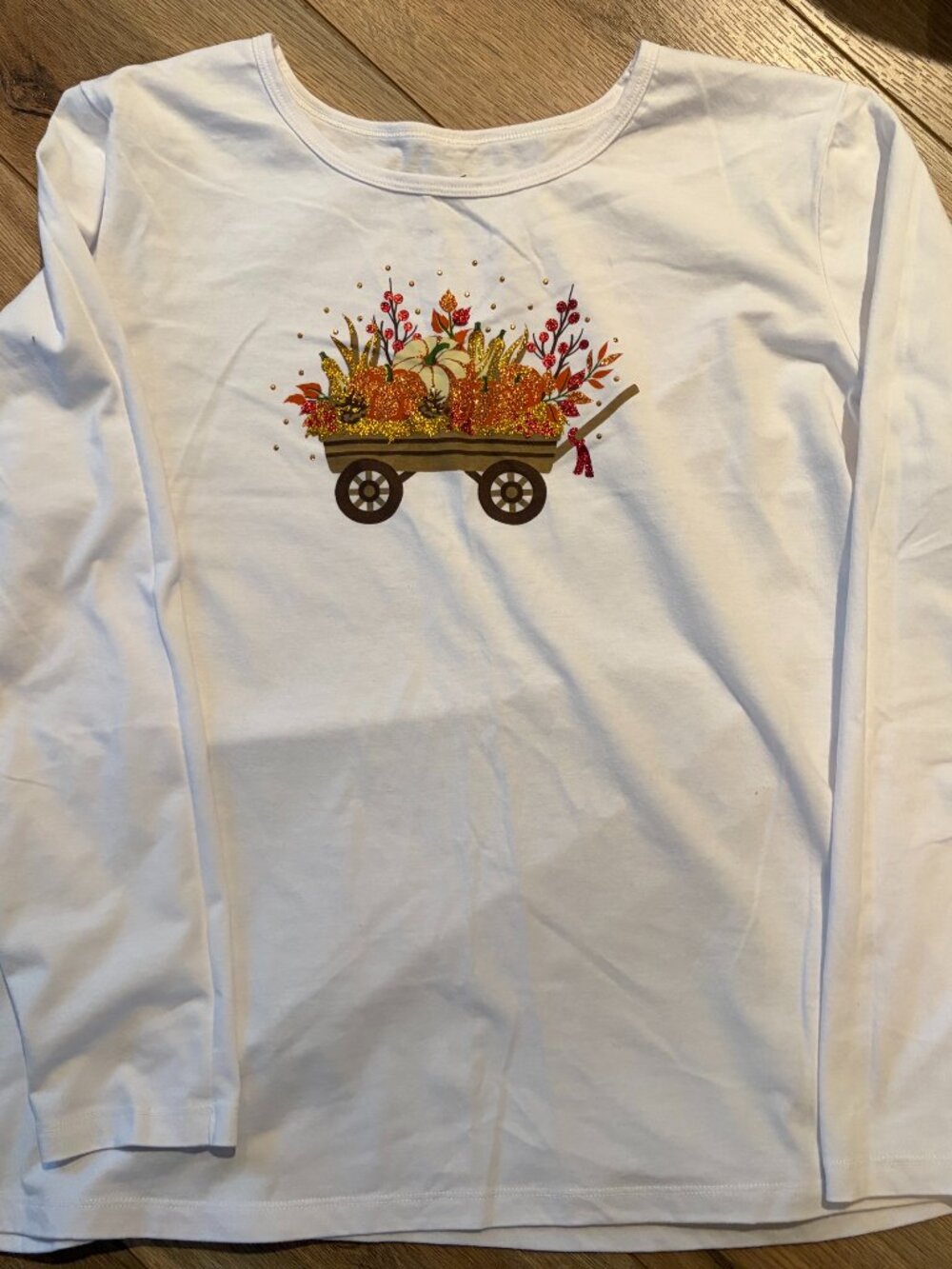 Womens Gloria Vanderbilt long sleeve white shirt size extra large Fall pumpkins